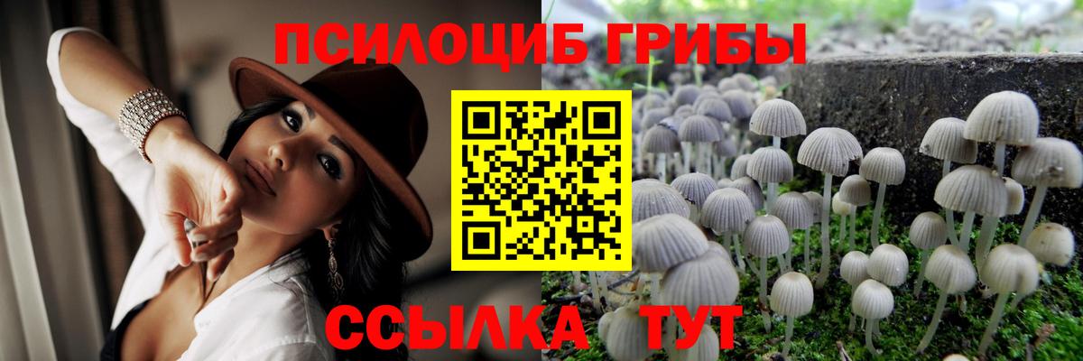 Галлюциногенные грибы Cubensis  Галлюциногенные грибы прущие грибы  Саров  Вход с VPN 